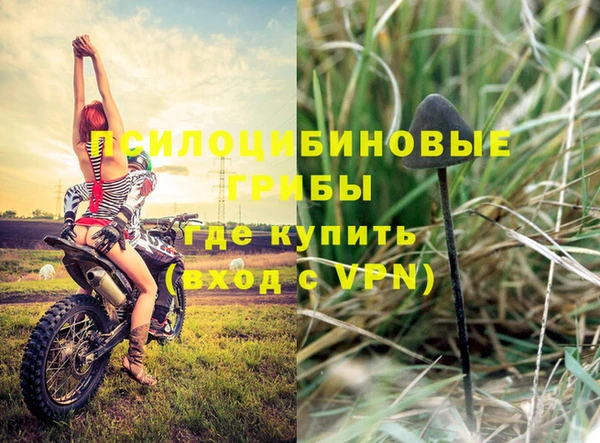 гидра Саяногорск