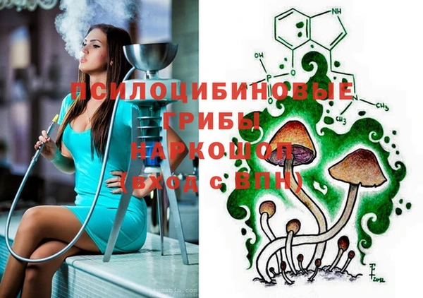 гашик Сафоново