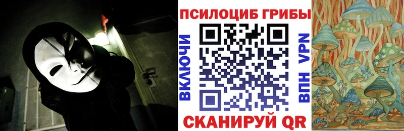 Галлюциногенные грибы прущие грибы  Купить  Сланцы 