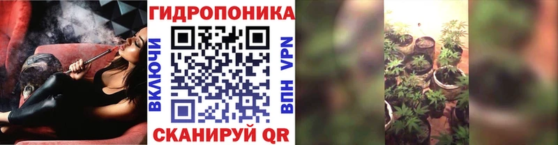 Каннабис AK-47  Купить  Сланцы 